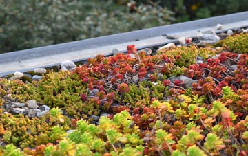 the cost of Kidds Moor green roof installation