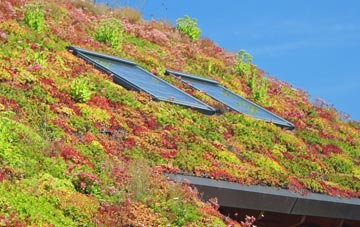 Kidds Moor living roof systems