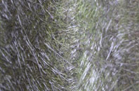 Kidds Moor fibreglass roof work